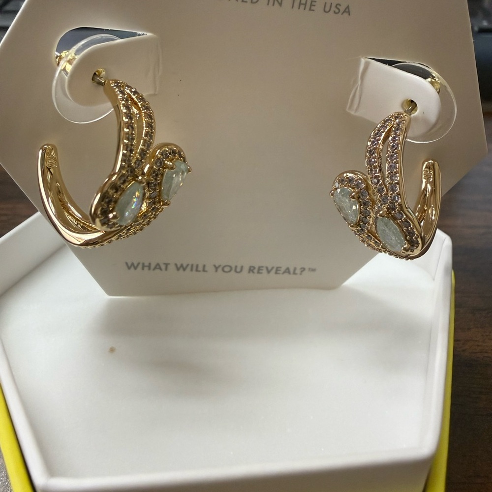 OG earrings